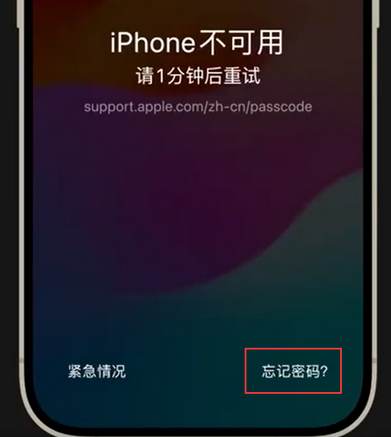南宁苹果手机密码维修分享iPhone忘记了刚设置的密码 