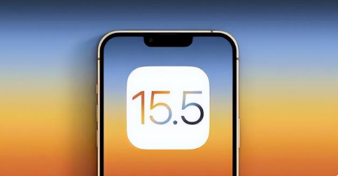 南宁苹果手机维修分享iOS15.5 RC版升级建议 